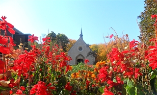 The French Connection The French Connection